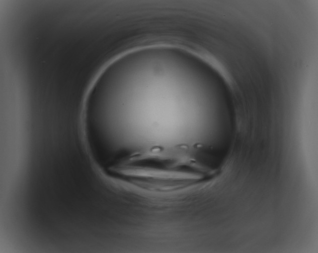 X0000100841532200807070922