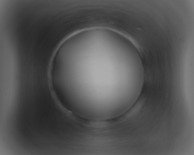 X0000100841534200807070922