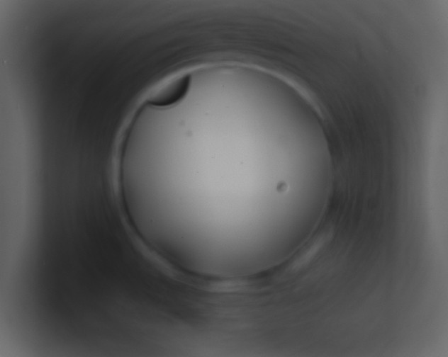 X0000100841535200807070922