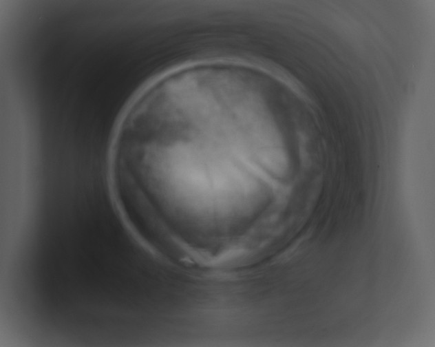 X0000100841536200807070922