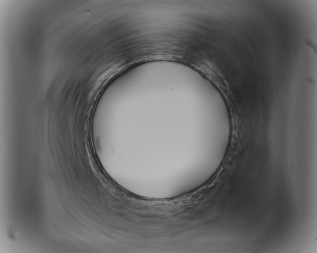 X0000100840001200807111202