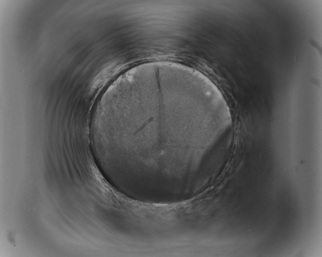 X0000100840002200807111202