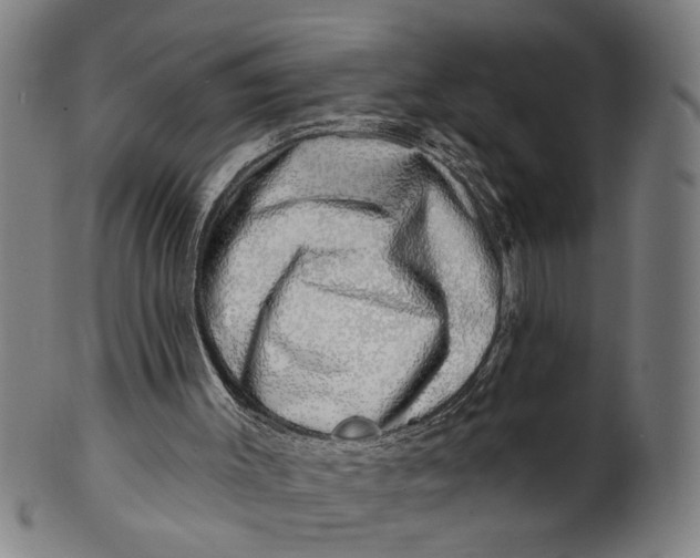 X0000100840003200807111202