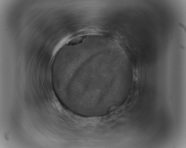 X0000100840004200807111202