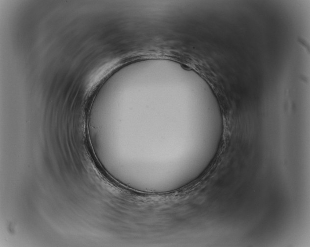 X0000100840005200807111202