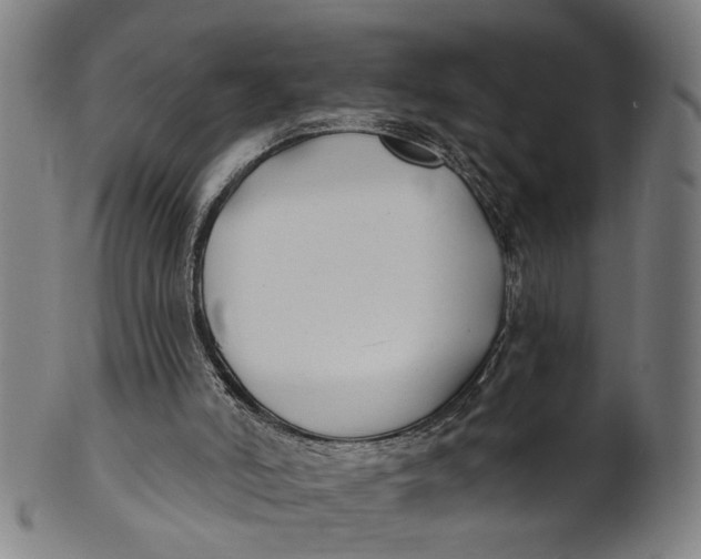 X0000100840006200807111202