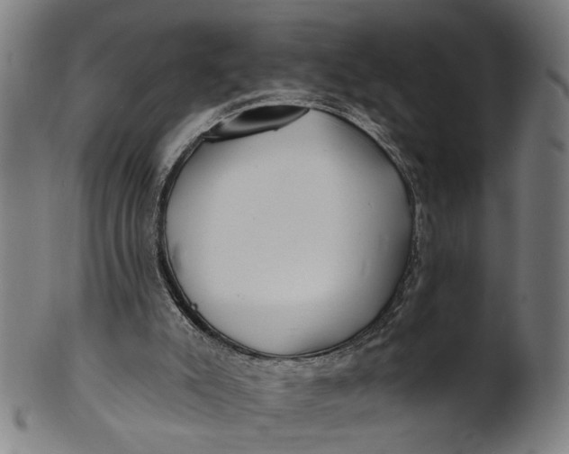 X0000100840007200807111202