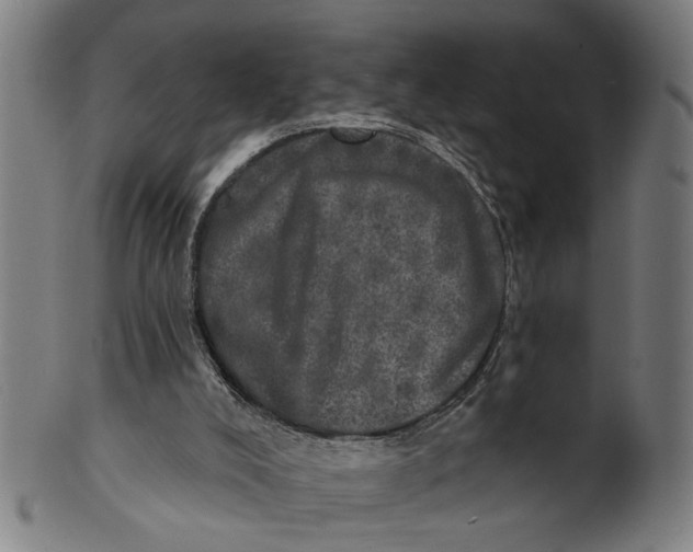 X0000100840008200807111202