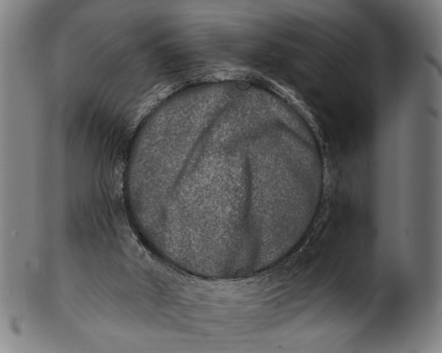 X0000100840010200807111202