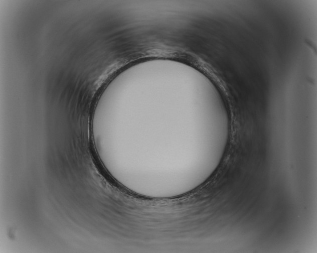 X0000100840011200807111202