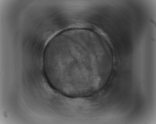 X0000100840012200807111202