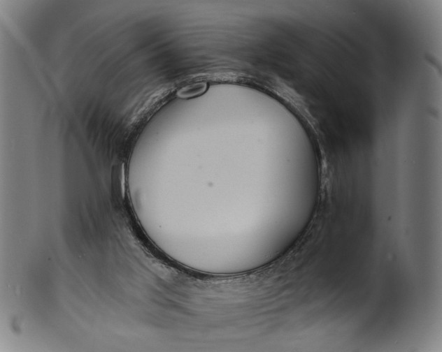 X0000100840013200807111202