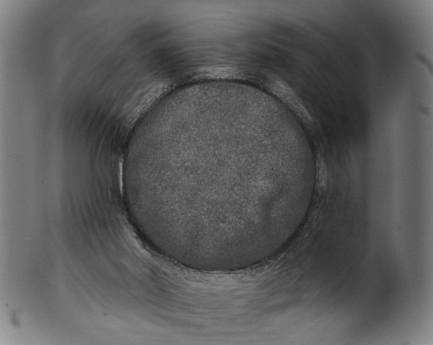 X0000100840014200807111202