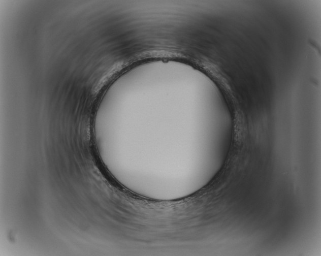 X0000100840015200807111202