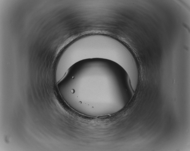 X0000100840016200807111202