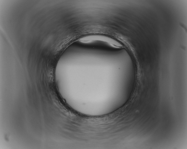 X0000100840017200807111202