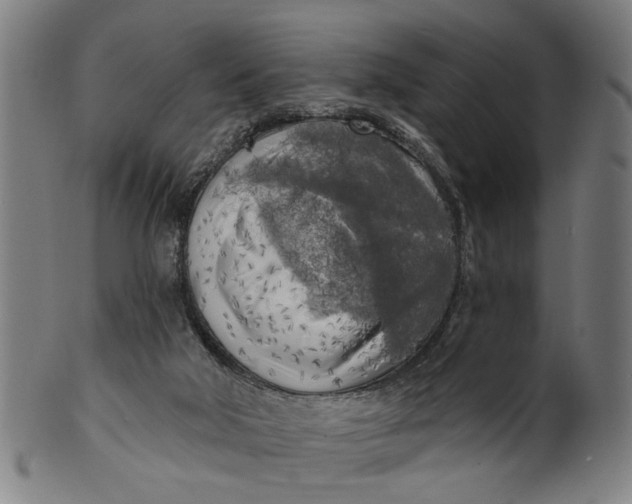 X0000100840018200807111202