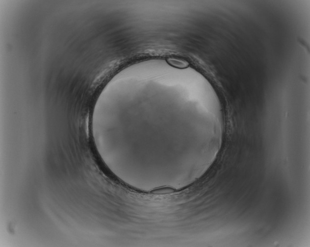 X0000100840019200807111202