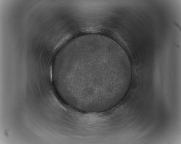 X0000100840020200807111202