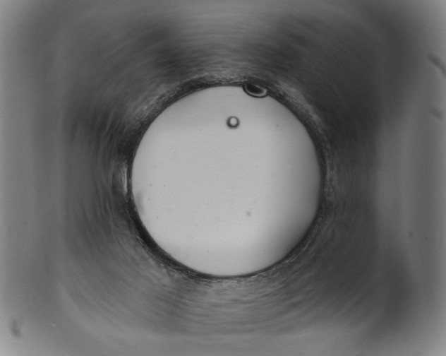 X0000100840021200807111202