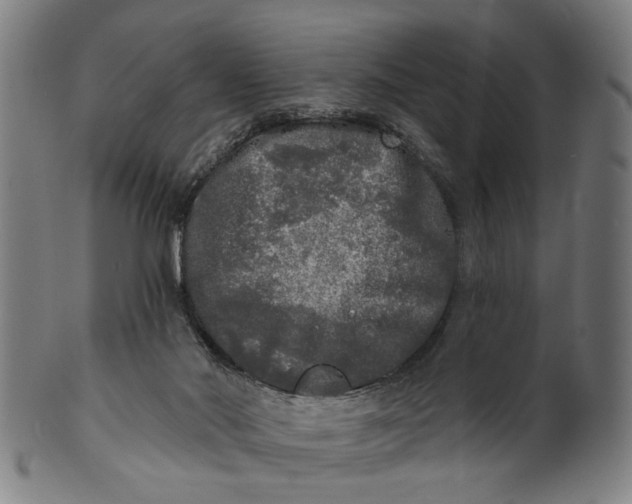 X0000100840022200807111202