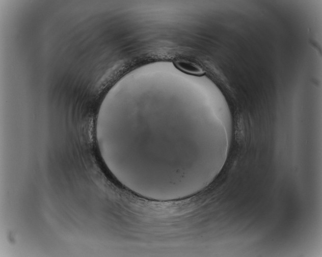 X0000100840023200807111202