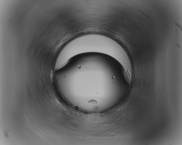 X0000100840024200807111202