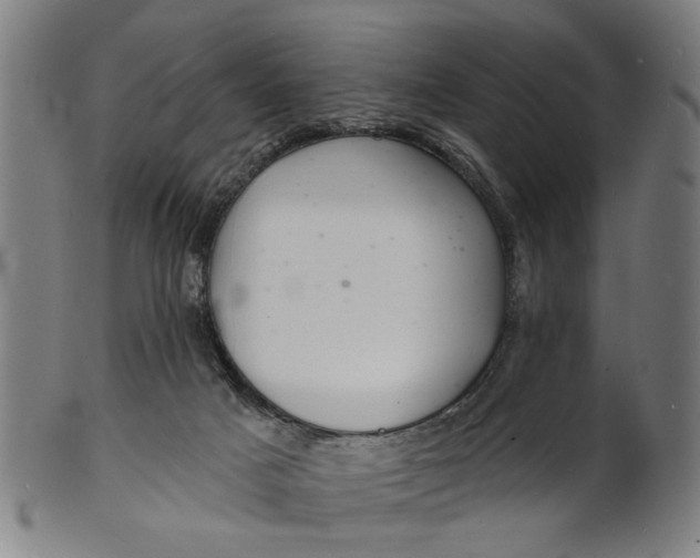 X0000100840025200807111202