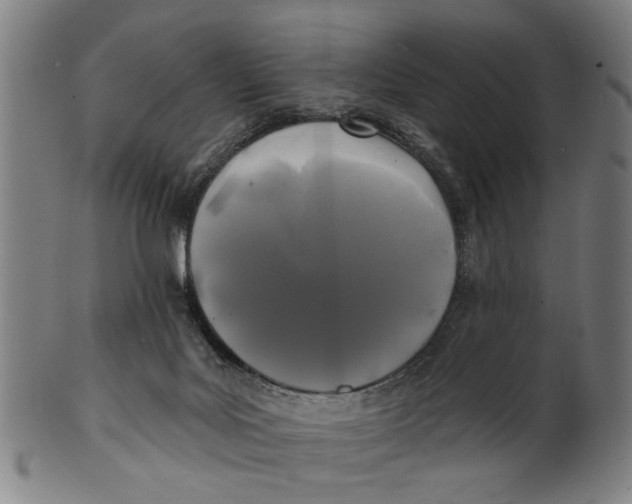 X0000100840027200807111202