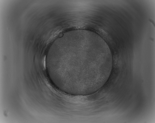 X0000100840028200807111202