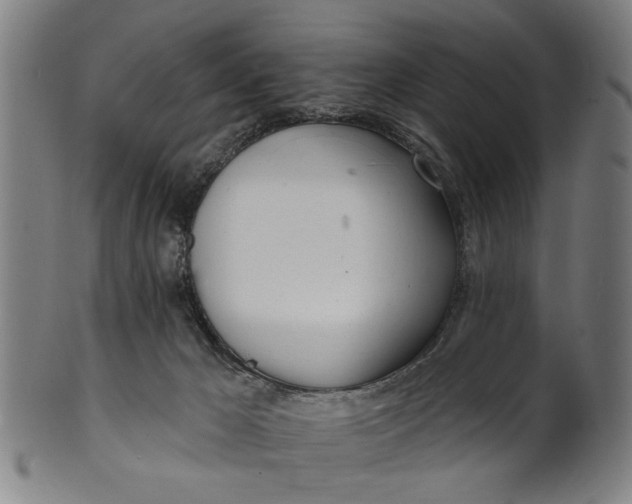 X0000100840029200807111202