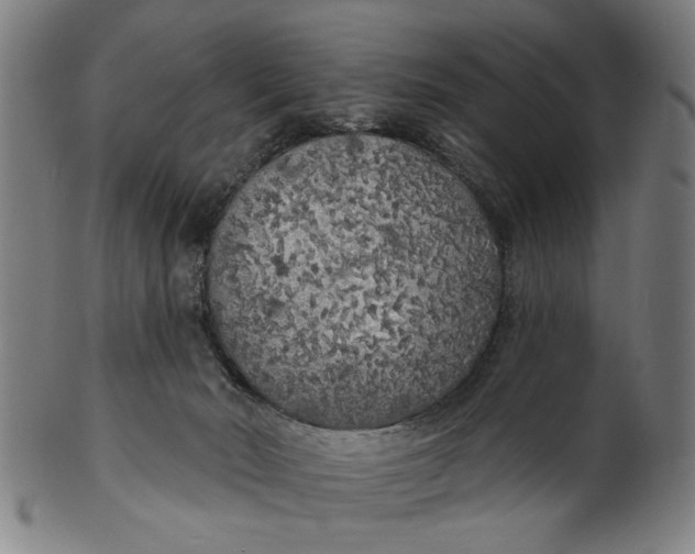 X0000100840030200807111202