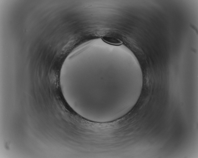 X0000100840031200807111202