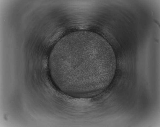 X0000100840032200807111202