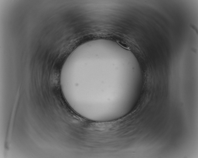 X0000100840033200807111202