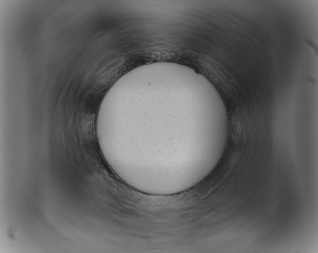 X0000100840034200807111202