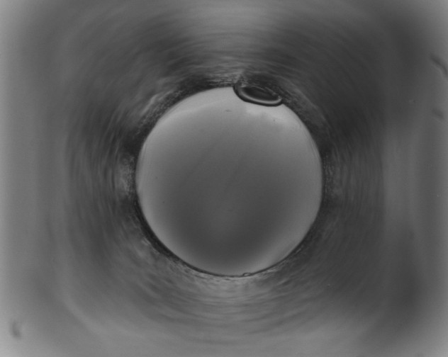 X0000100840035200807111202