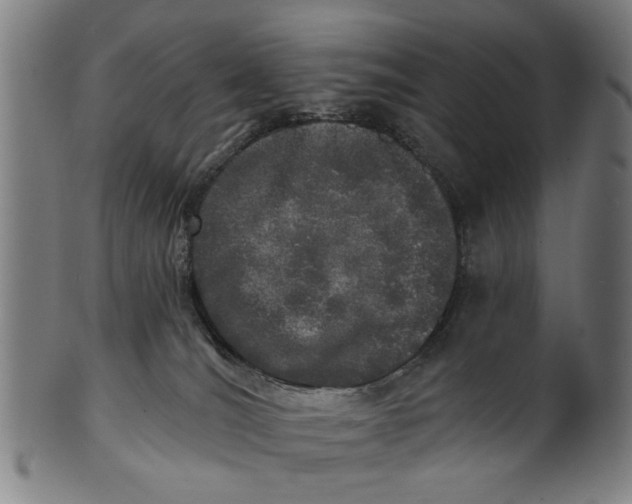 X0000100840036200807111202