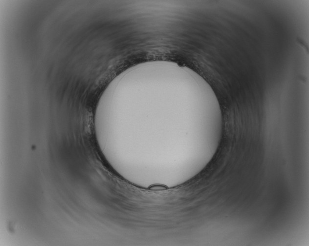 X0000100840038200807111202