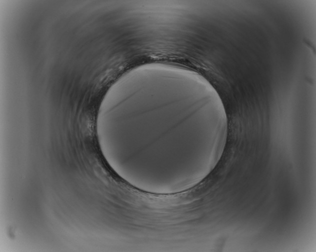 X0000100840039200807111202