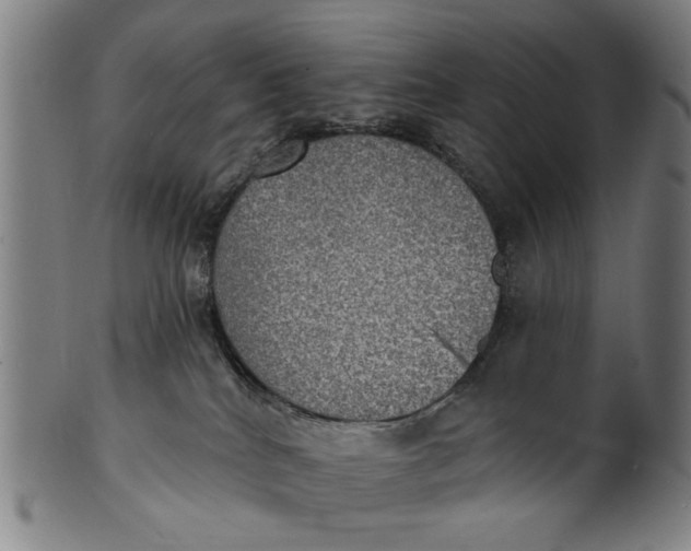 X0000100840040200807111202