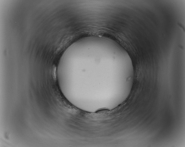 X0000100840041200807111202