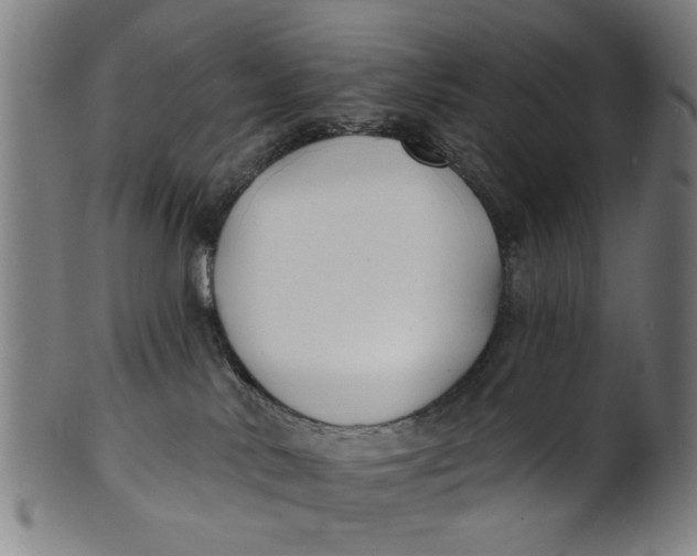 X0000100840042200807111202