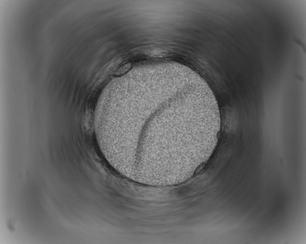 X0000100840044200807111202