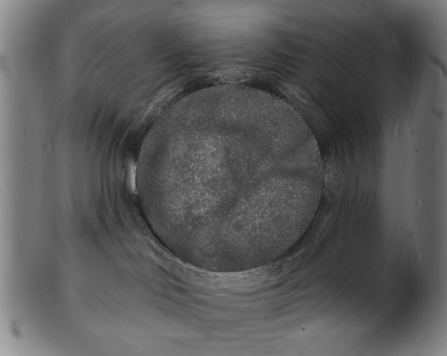 X0000100840046200807111202