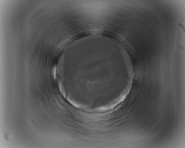 X0000100840047200807111202