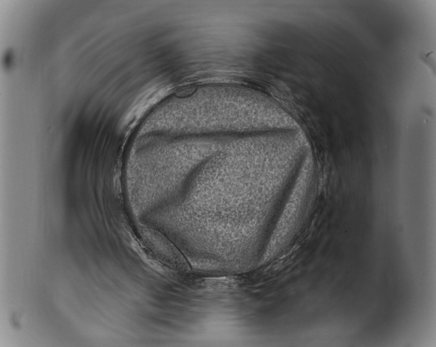 X0000100840050200807111201