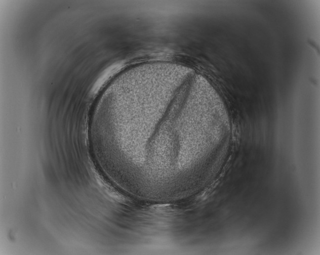 X0000100840054200807111201