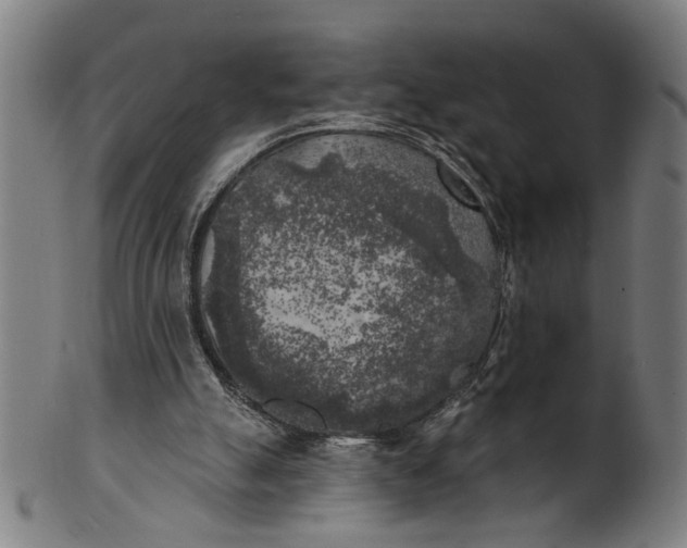 X0000100840055200807111201