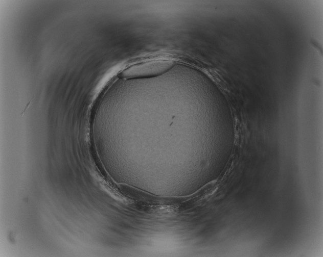 X0000100840056200807111201